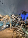 福井県立恐竜博物館に投稿された画像（2026/3/14）