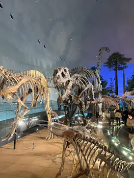 福井県立恐竜博物館に投稿された画像（2026/3/14）