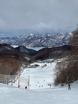 星野リゾート　ネコマ マウンテンに投稿された画像（2026/3/14）