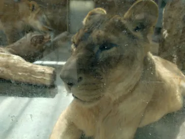 日立市かみね動物園に投稿された画像（2026/3/14）