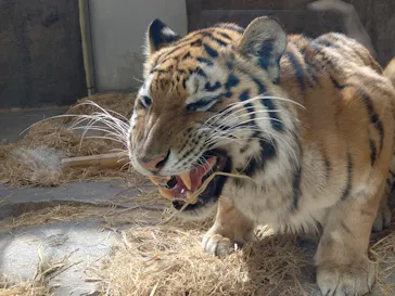 日立市かみね動物園に投稿された画像（2026/3/14）