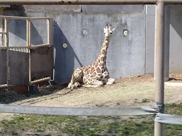 日立市かみね動物園に投稿された画像（2026/3/14）