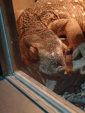 日立市かみね動物園に投稿された画像（2026/3/14）