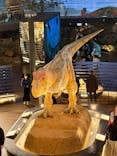 福井県立恐竜博物館に投稿された画像（2026/3/14）
