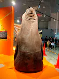 特別展「超危険生物展　科学で挑む生き物の本気」に投稿された画像（2026/3/14）