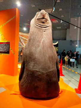 特別展「超危険生物展　科学で挑む生き物の本気」に投稿された画像（2026/3/14）