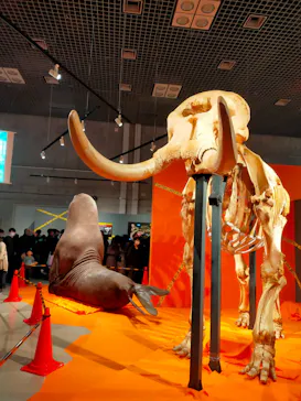 特別展「超危険生物展　科学で挑む生き物の本気」に投稿された画像（2026/3/14）