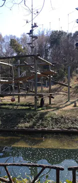 多摩動物公園に投稿された画像（2026/3/14）