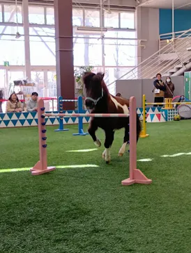 ノーザンホースパークに投稿された画像（2026/3/14）