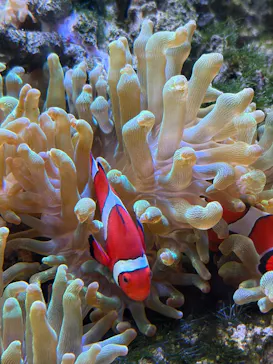 京都水族館に投稿された画像（2026/3/14）