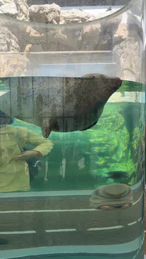 京都水族館に投稿された画像（2026/3/14）