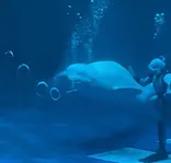 島根県立 しまね海洋館に投稿された画像（2026/3/14）