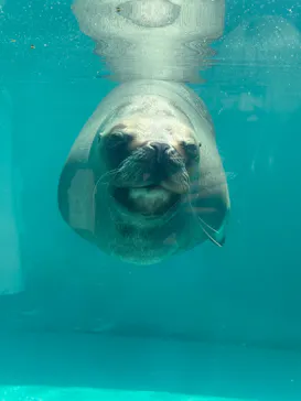 竹島水族館に投稿された画像（2026/3/14）