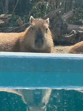 竹島水族館に投稿された画像（2026/3/14）