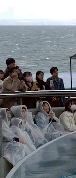 大分マリーンパレス水族館 「うみたまご」に投稿された画像（2026/3/14）