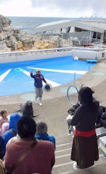 大分マリーンパレス水族館 「うみたまご」に投稿された画像（2026/3/14）