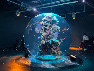 AQUARIUM × ART　atoaに投稿された画像（2026/3/14）