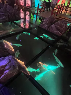 AQUARIUM × ART　atoaに投稿された画像（2026/3/14）