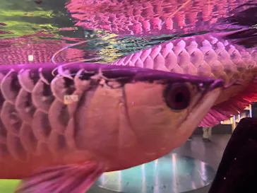 AQUARIUM × ART　atoaに投稿された画像（2026/3/14）