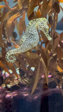 AQUARIUM × ART　atoaに投稿された画像（2026/3/14）