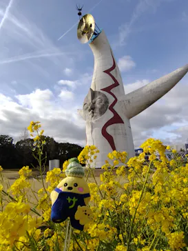 万博記念公園に投稿された画像（2026/3/14）