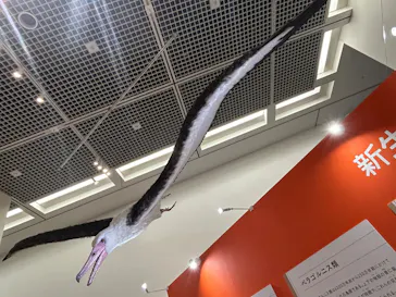 特別展「鳥 ～ゲノム解析が解き明かす新しい鳥類の系統～」に投稿された画像（2026/3/14）