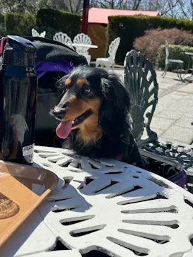 野外民族博物館 リトルワールドに投稿された画像（2026/3/14）