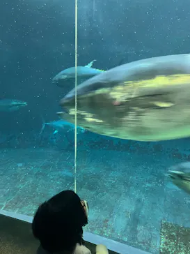 葛西臨海水族園に投稿された画像（2026/3/14）