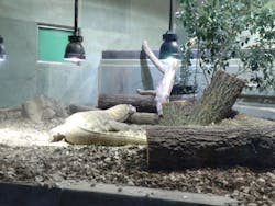 名古屋市東山動植物園に投稿された画像（2026/3/14）