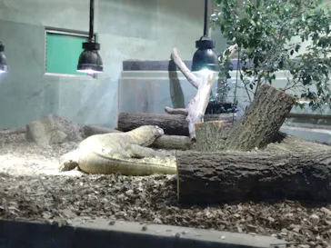 名古屋市東山動植物園に投稿された画像（2026/3/14）