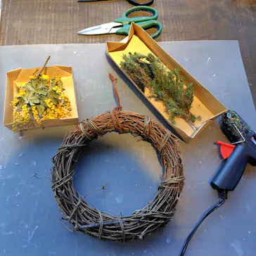 いばらきフラワーパークに投稿された画像（2026/3/14）