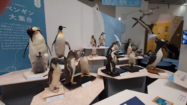 特別展「鳥 ～ゲノム解析が解き明かす新しい鳥類の系統～」に投稿された画像（2026/3/14）