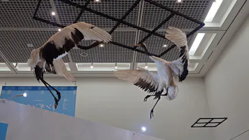 特別展「鳥 ～ゲノム解析が解き明かす新しい鳥類の系統～」に投稿された画像（2026/3/14）