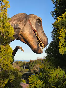 伊豆ぐらんぱる公園に投稿された画像（2026/3/14）