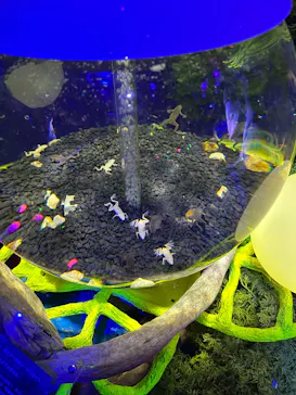 ひらかたパークに投稿された画像（2026/3/14）