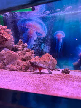 ひらかたパークに投稿された画像（2026/3/14）