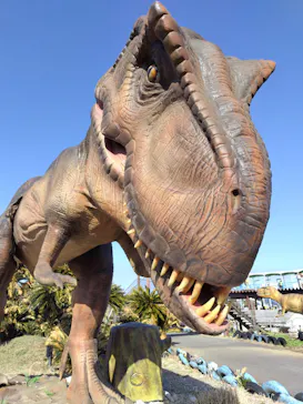 伊豆ぐらんぱる公園に投稿された画像（2026/3/14）