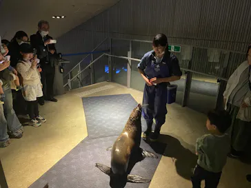 すみだ水族館に投稿された画像（2026/3/14）