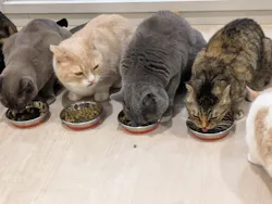 Moff animal cafe イオンモール成田店に投稿された画像（2026/3/14）