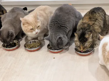 Moff animal cafe イオンモール成田店に投稿された画像（2026/3/14）