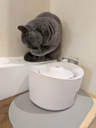 Moff animal cafe イオンモール成田店に投稿された画像（2026/3/14）