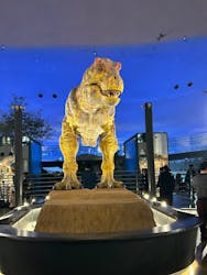 福井県立恐竜博物館に投稿された画像（2026/3/14）