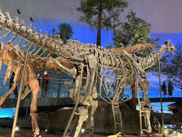 福井県立恐竜博物館に投稿された画像（2026/3/14）