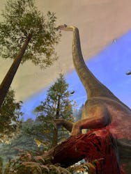 福井県立恐竜博物館に投稿された画像（2026/3/14）