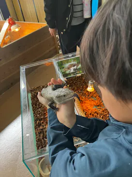 いきもの探検隊上尾に投稿された画像（2026/3/14）