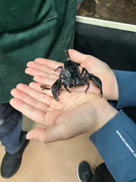 いきもの探検隊上尾に投稿された画像（2026/3/14）