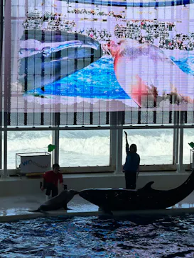 アクアワールド茨城県大洗水族館に投稿された画像（2026/3/14）