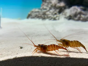 アクアワールド茨城県大洗水族館に投稿された画像（2026/3/14）