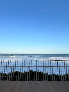 アクアワールド茨城県大洗水族館に投稿された画像（2026/3/14）