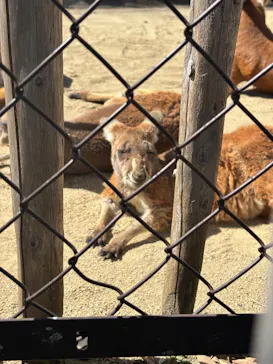 名古屋市東山動植物園に投稿された画像（2026/3/14）